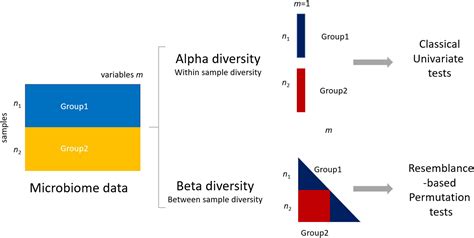 beta diversity microbiome